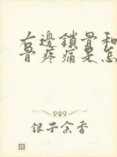 右边锁骨和肩胛骨疼痛是怎么回事封面