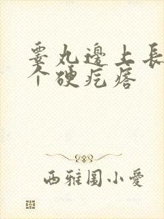 睾丸边上长了一个硬疙瘩