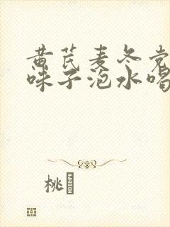 黄芪麦冬党参五味子泡水喝的功效