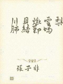 川贝炖雪梨能治肺结节吗