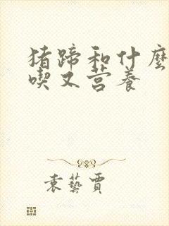 猪蹄和什么炖好吃又营养