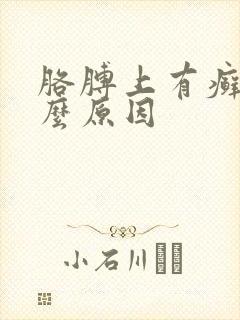 胳膊上有癣是什么原因