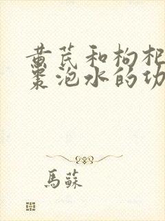 黄芪和枸杞子红枣泡水的功效与作用