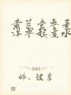 黄芪党参麦冬西洋参起煮水的功效与作用