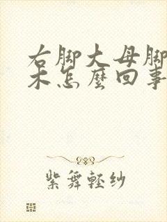 右脚大母脚趾麻木怎么回事