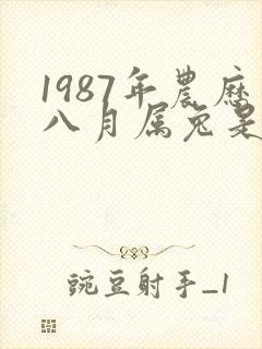 1987年农历八月属兔是什么命