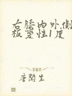 右膝内外侧半月板变性1度