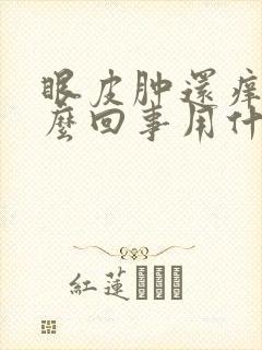 眼皮肿还痒是怎么回事用什么药封面