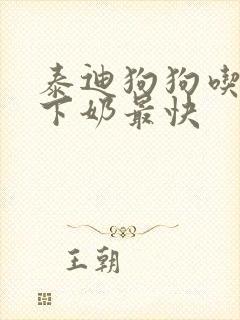 泰迪狗狗吃什么下奶最快