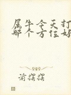属牛今天打牌坐哪个方位好封面