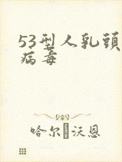 53型人乳头状病毒封面