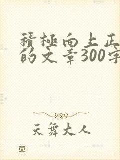 积极向上正能量的文章300字封面