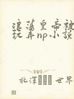 浪荡皇帝被多人玩弄np小说