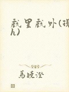 戏里戏外(现场h)