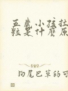 五岁小孩拉羊屎粒是什么原因