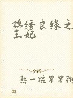锦绣良缘之北地王妃