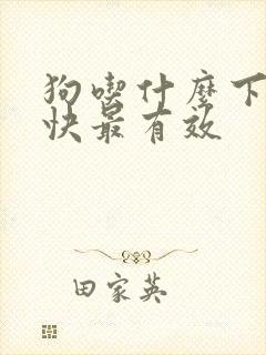 狗吃什么下奶最快最有效