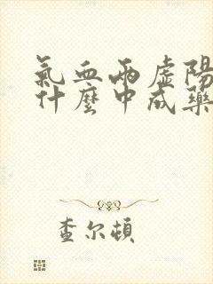 气血两虚阳虚用什么中成药