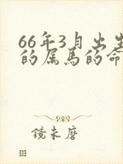 66年3月出生的属马的命运