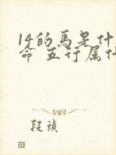 14的马是什么命 五行属什么封面