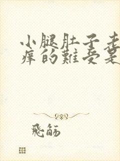 小腿肚子老是痒痒的难受是什么原因