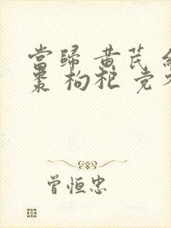 当归 黄芪 红枣 枸杞 党参