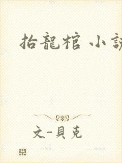 抬龙棺 小说