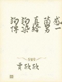 狗狗真菌感染会传染给另一只狗吗