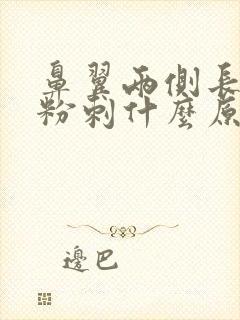 鼻翼两侧长白头粉刺什么原因
