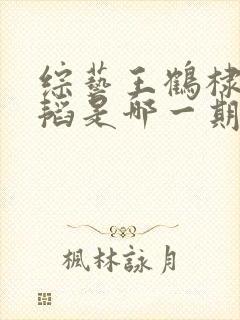 综艺王鹤棣黄子韬是哪一期