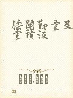 膝关节囊及髌上囊积液