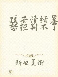 孩子情绪暴躁易怒控制不了