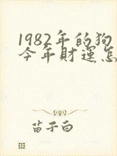 1982年的狗今年财运怎么样