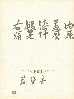 右腿膝盖内侧疼痛是什么原因引起的