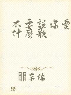 不要说你爱我是什么歌