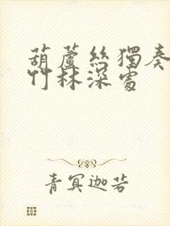 葫芦丝独奏曲 竹林深处