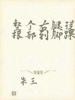 整个右腿从大腿根部到脚踝酸疼