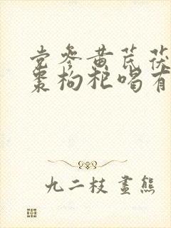 党参黄芪茯苓红枣枸杞喝有什么效果?