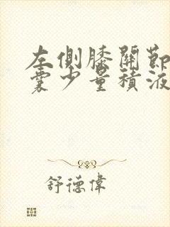 左侧膝关节髌上囊少量积液