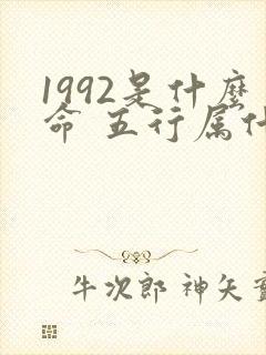 1992是什么命 五行属什么