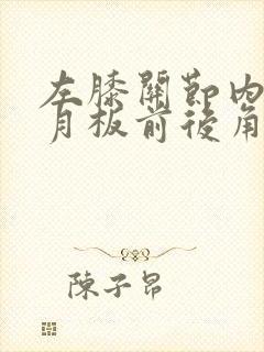 左膝关节内侧半月板前后角损伤