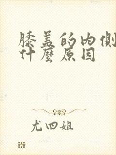 膝盖的内侧疼是什么原因封面