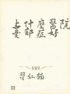 上什么医院治疗忧郁症好封面