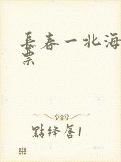 长春一北海飞机票封面