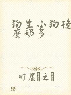 狗生小狗后吃什么奶多封面