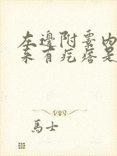 左边附睾内摸起来有疙瘩是怎么回事