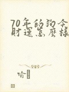 70年的狗今年财运怎么样封面