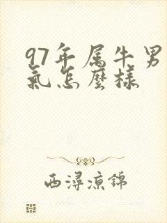 97年属牛男运气怎么样