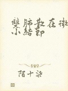 双肺散在微小及小结节
