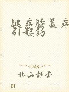 腿疼膝盖疼怎么引起的